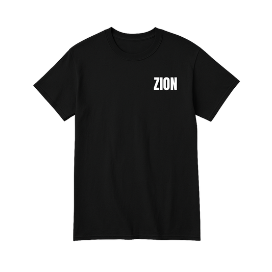 新品未開封　ZIONTHEBAND\"S/S T-Shirt　Size M Air Jordan x Zion Tee DV0844-010