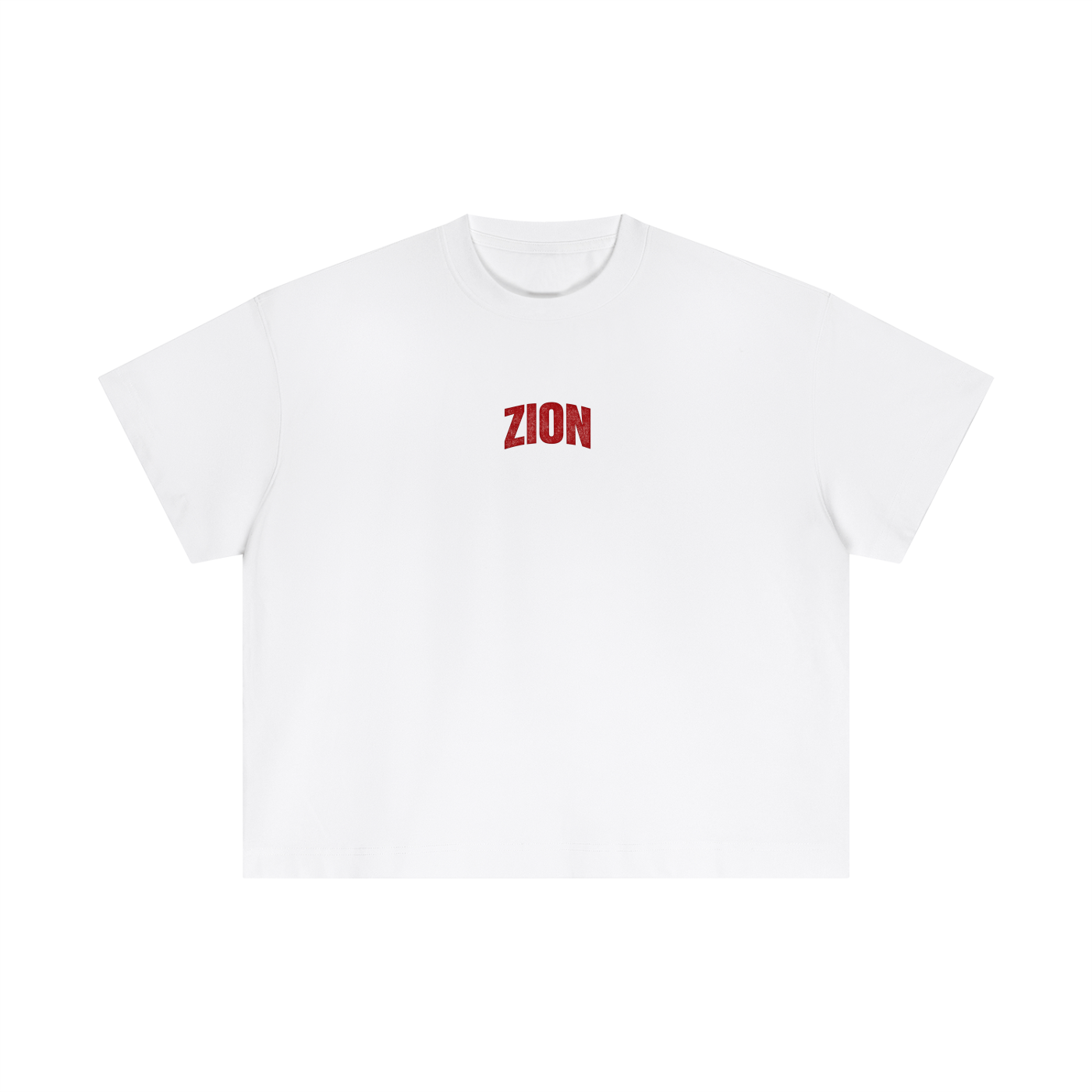Zion Movement Boxy Tee